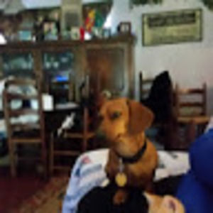 Meet your Posher, Alex